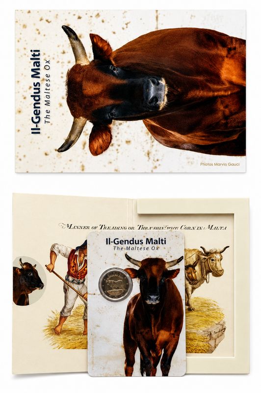Coincard 2 euro Malta 2025 - Buey Maltés