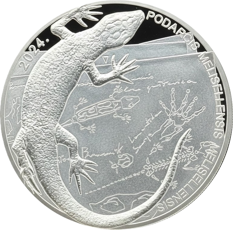 1 onza Croacia 2024 - Lagarto Negro