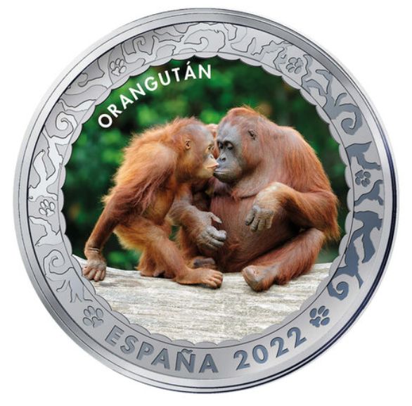 1,5 euro España 2022 - ORANGUTÁN