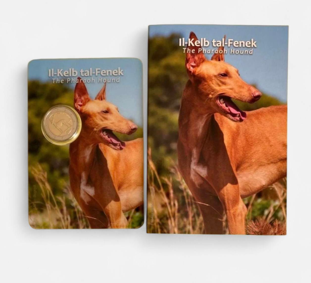 Coincard 2 euro Malta 2026 - II-Kelb tal-Fenek (Preventa)