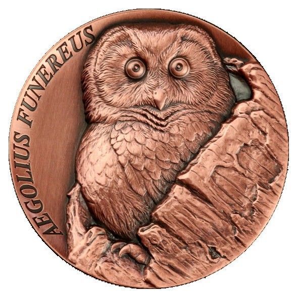 Moneda cobre Tala 2026 - Aegolius Funereusoenix Moneda cobre Tala 2026 - Aegolius Funereusoenix