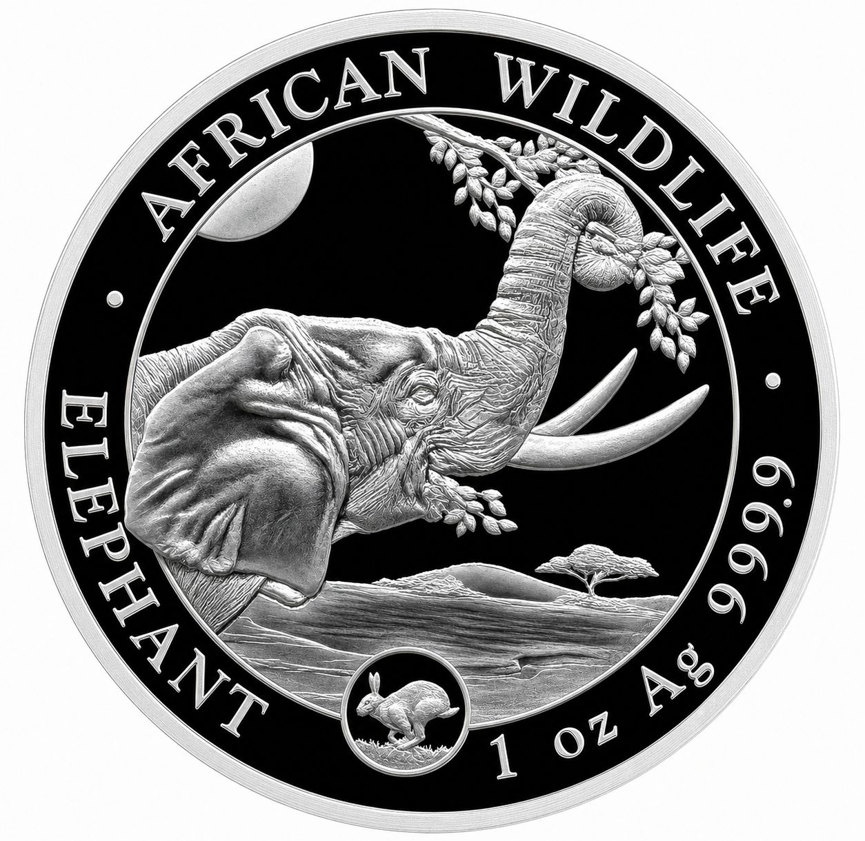 Anverso moneda de plata 1 onza Somalia 2023 Elefante