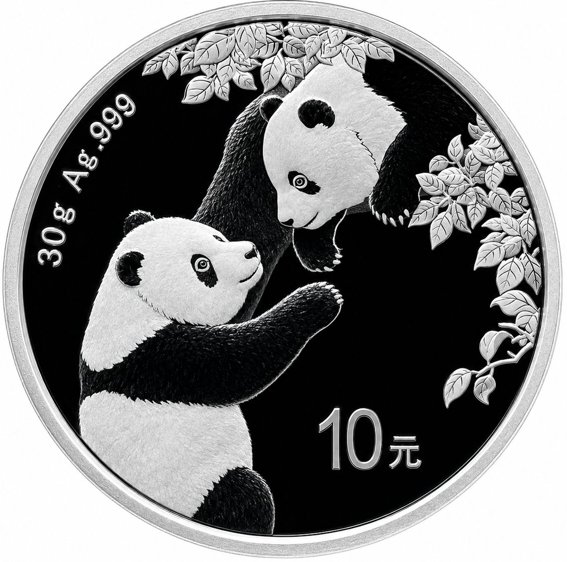 1 onza China 2023 - Panda
