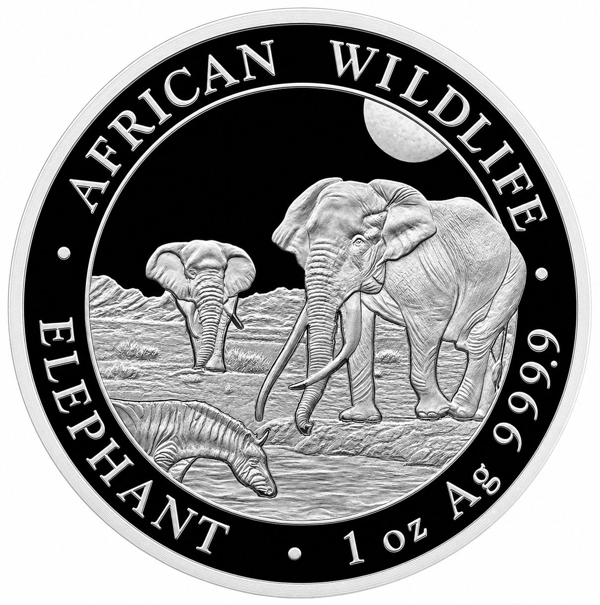 Anverso moneda de plata 1 onza Somalia 2026 Elefante