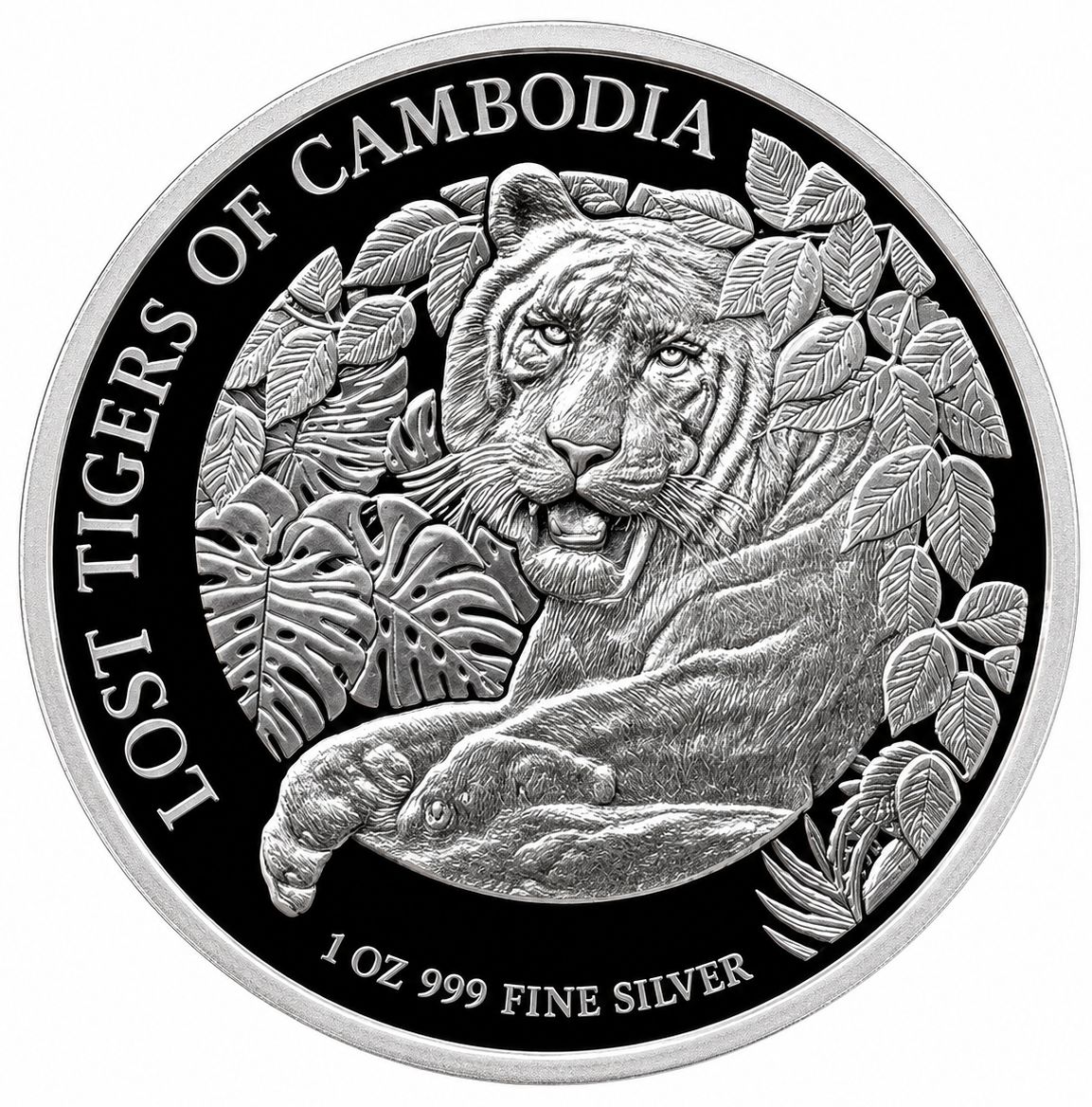 1 onza Camboya 2023 - Tigres Perdidos 1 onza Camboya 2023 - Tigres Perdidos