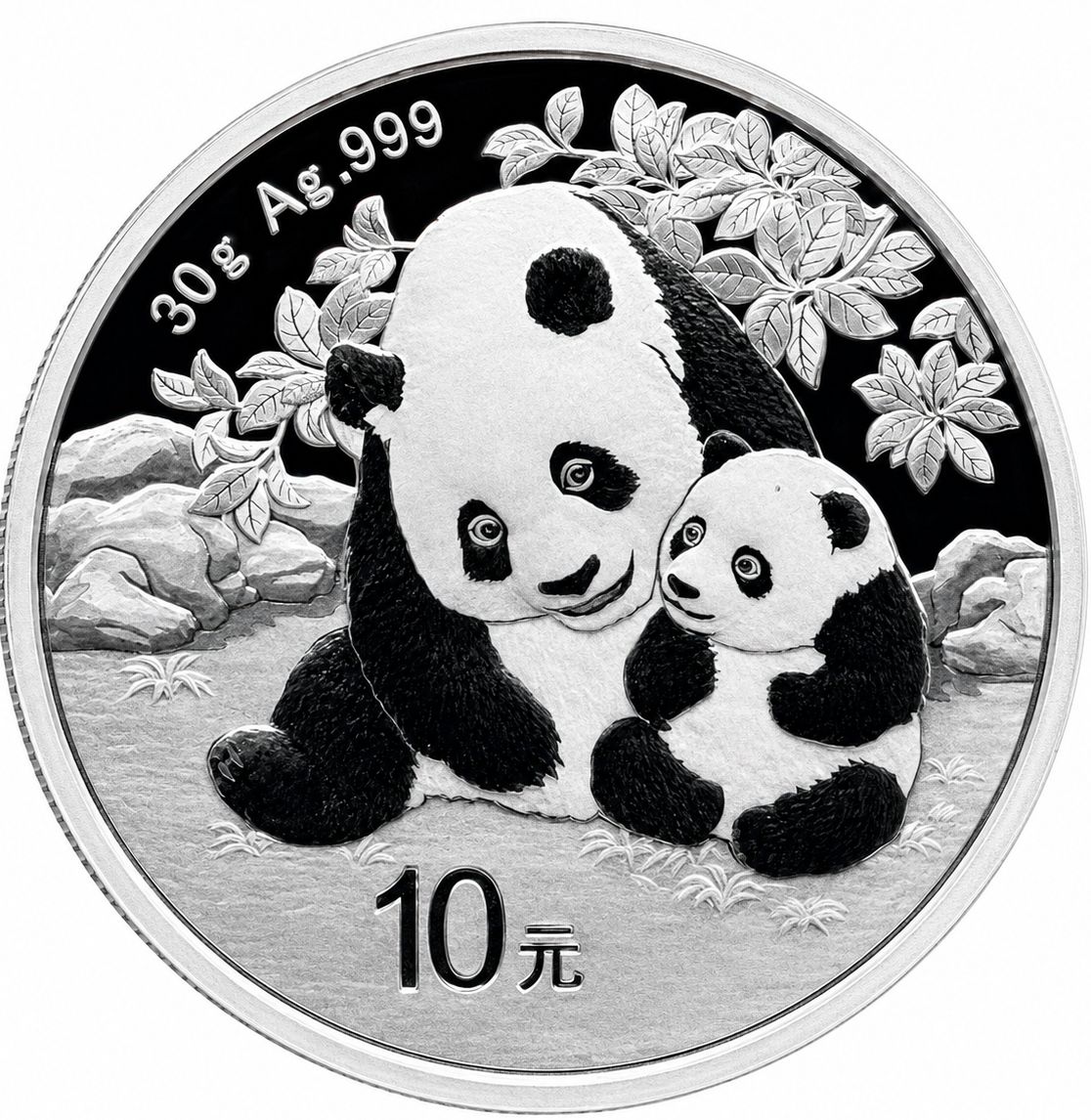 1 onza China 2024 - Panda
