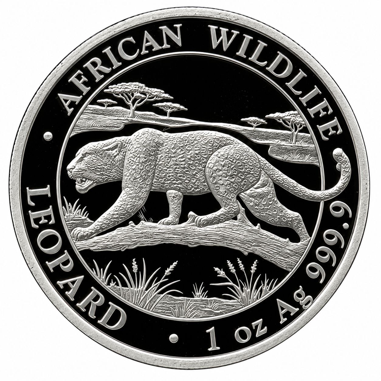 1 onza Somalia 2026 - Leopardo 1 onza Somalia 2026 - Leopardo