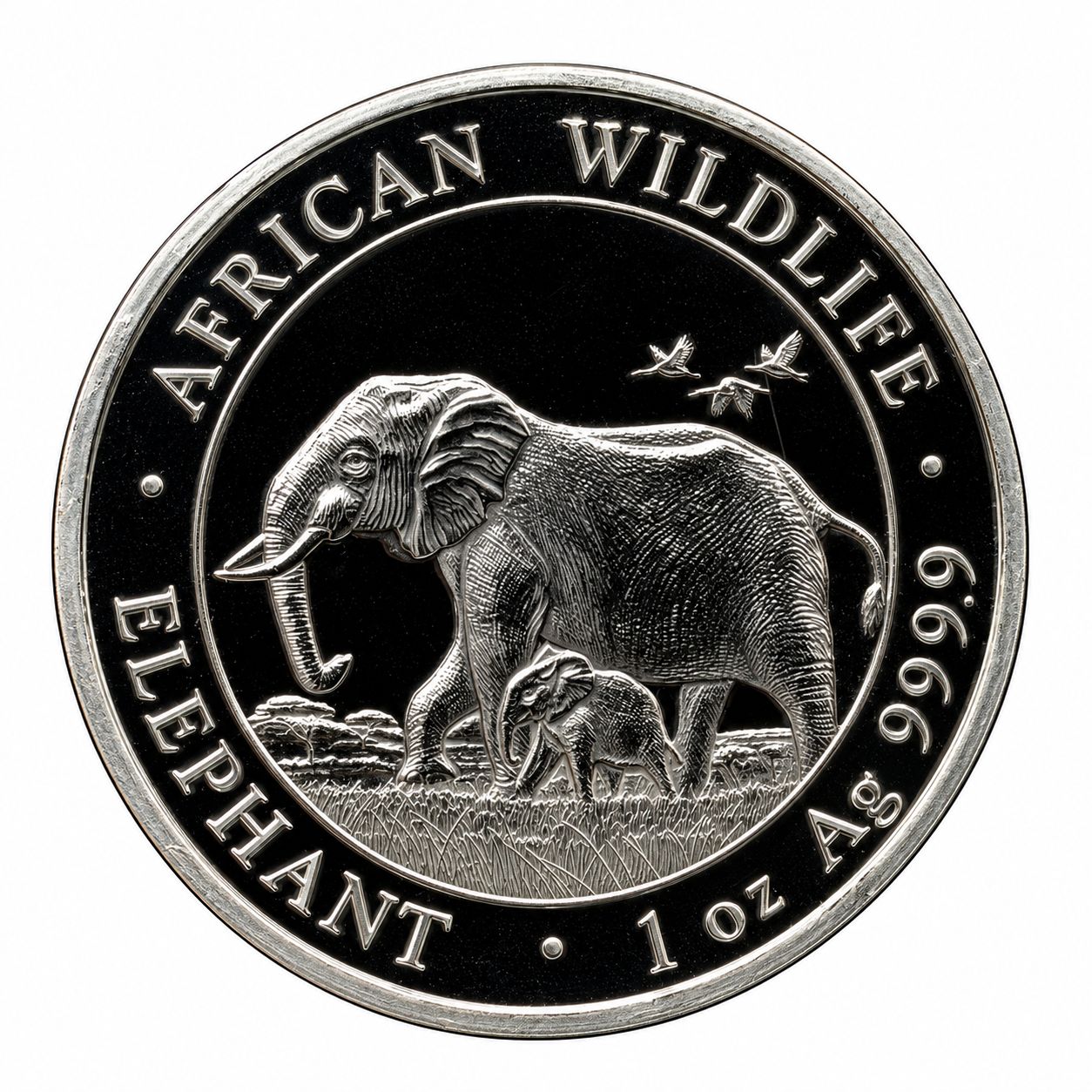1 onza Somalia 2022 - Elefante 1 onza Somalia 2022 - Elefante