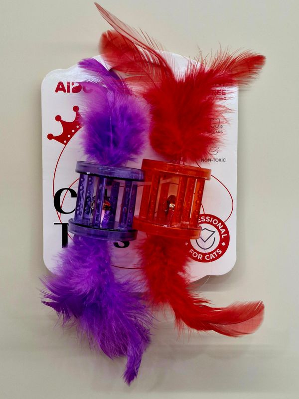 Grzechotka z piórami