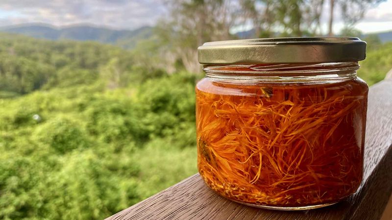 Calendula Oil