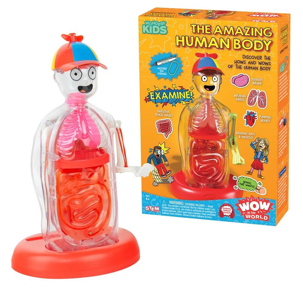 Wow in the World: The Amazing Human Body