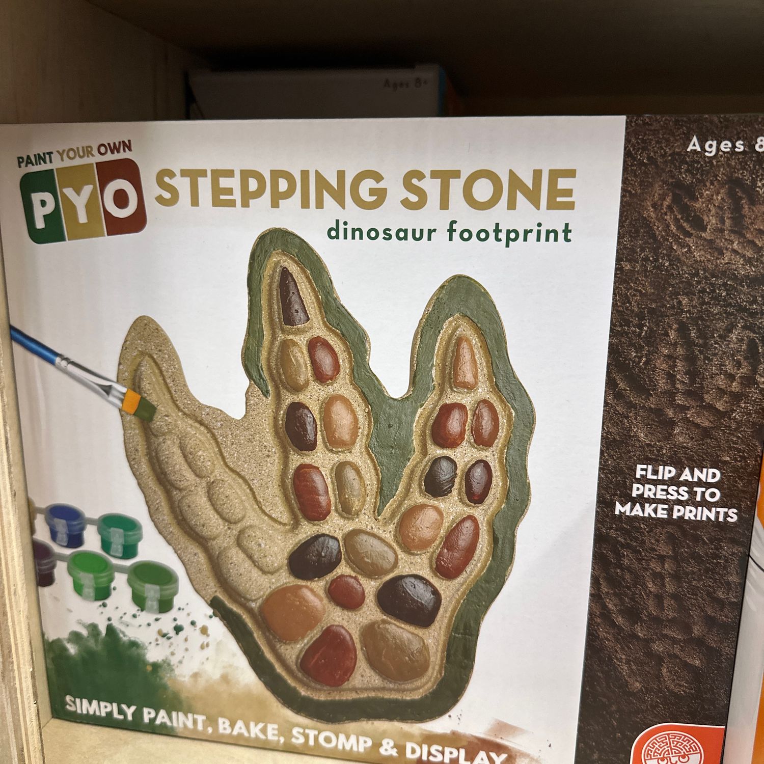 PYO: STEPPING STONE: DINOSAUR FOOTPRINT