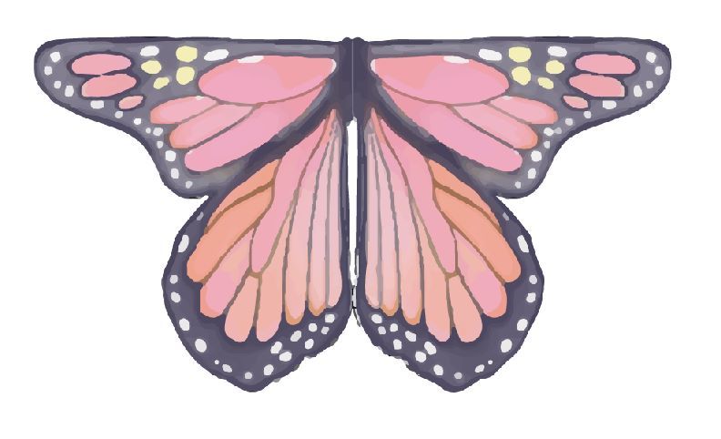 Mystical Monarch Soft Wings, Size 4-6