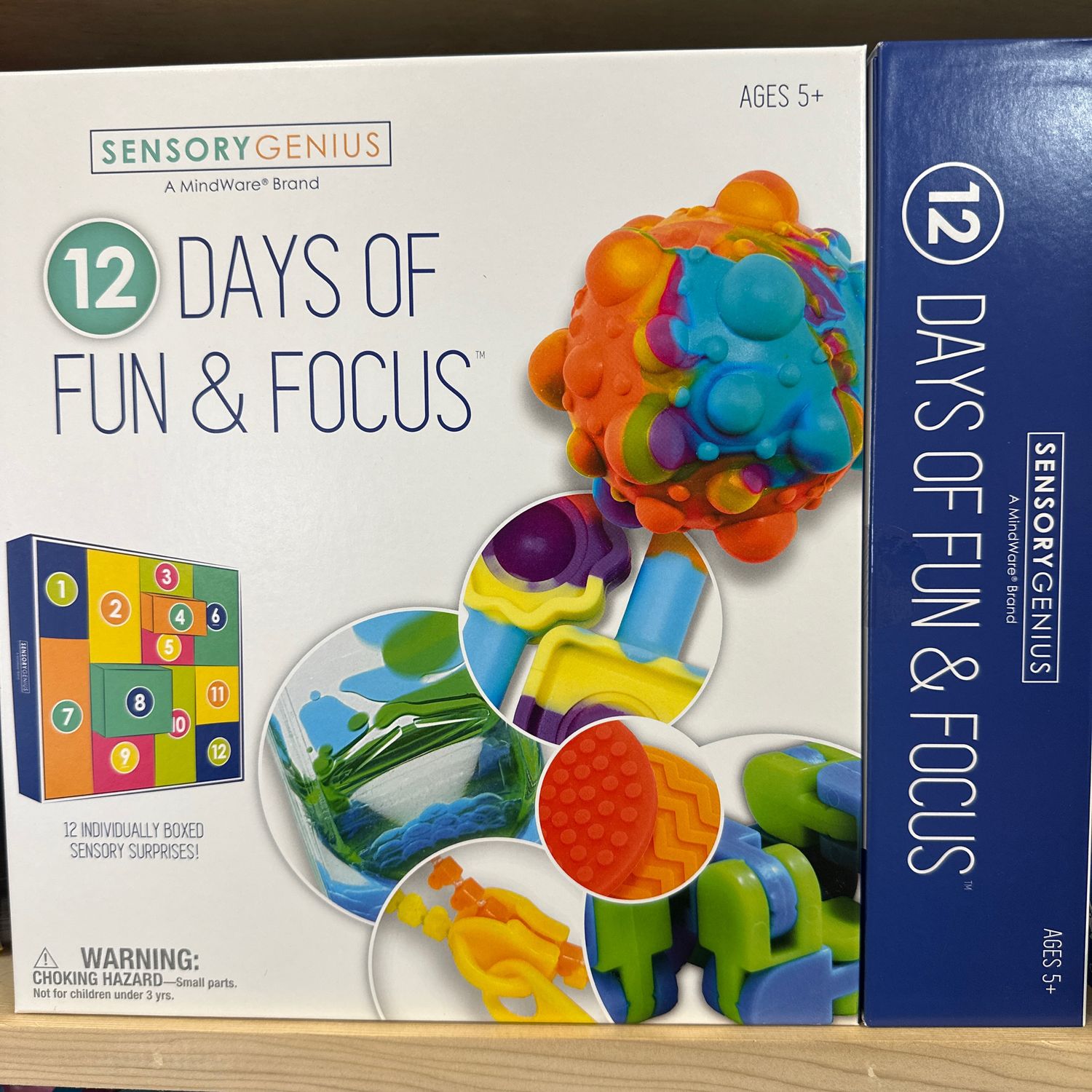 SENSORY GENIUS: 12 DAYS OF FUN AND FOCUS