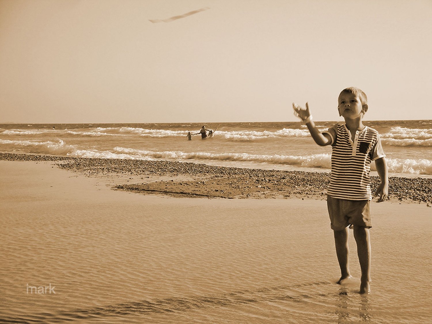 Maybe I am a dreamer