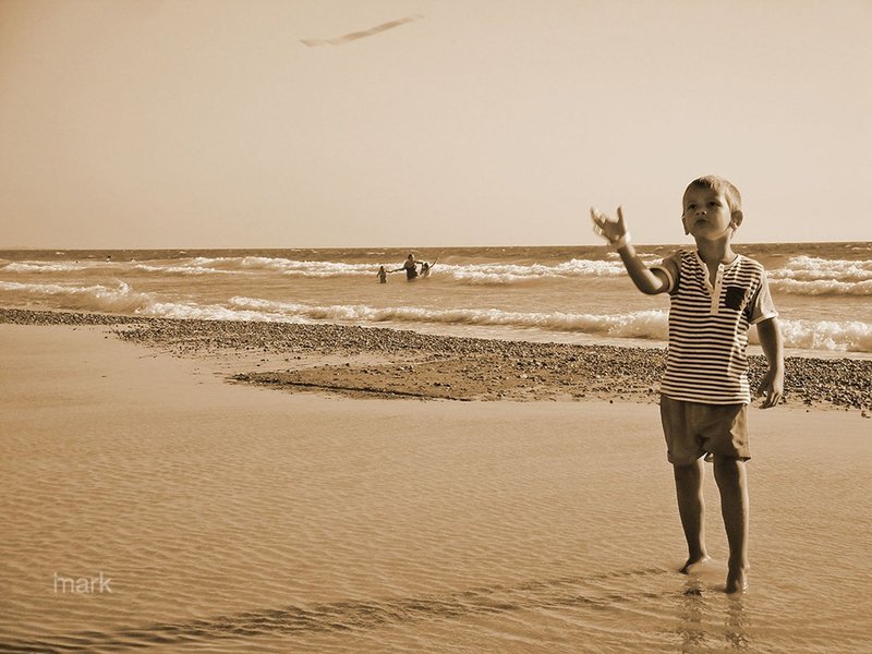 Maybe I am a dreamer