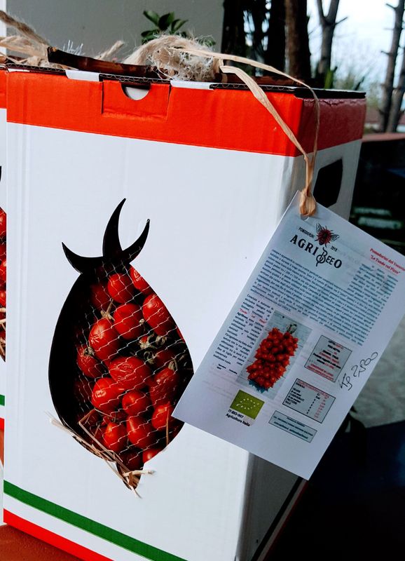 Pomodori “le tonde col pizzo” del Vesuvio