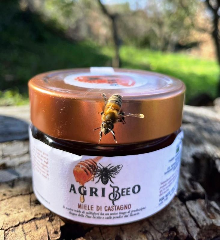 MIELE  DI  CASTAGNO produzione biologica 100% prodotto in Italia 300G