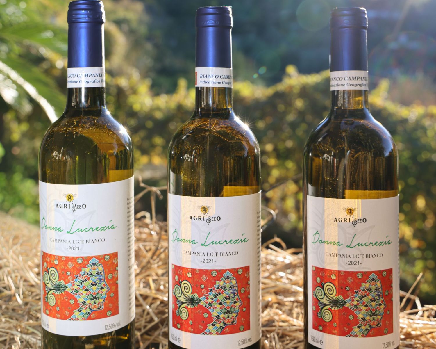 DONNA LUCREZIA IGT CAMPANIA BIANCO 100% DA UVA CATALANESCA V.2022