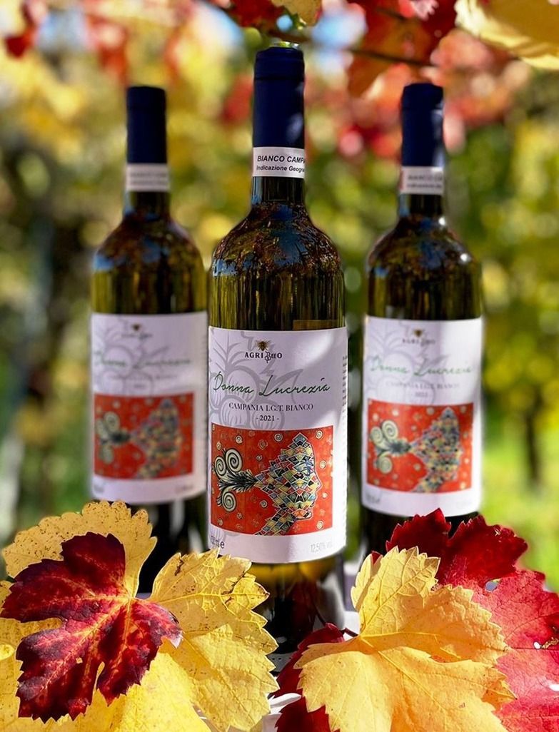 DONNA LUCREZIA IGT CAMPANIA BIANCO 100% DA UVA CATALANESCA V.2023 DONNA LUCREZIA IGT CAMPANIA BIANCO 100% DA UVA CATALANESCA V.2023