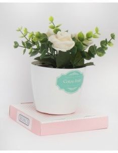 Fleurs parfumée Coton Frais – MOSCO Paris