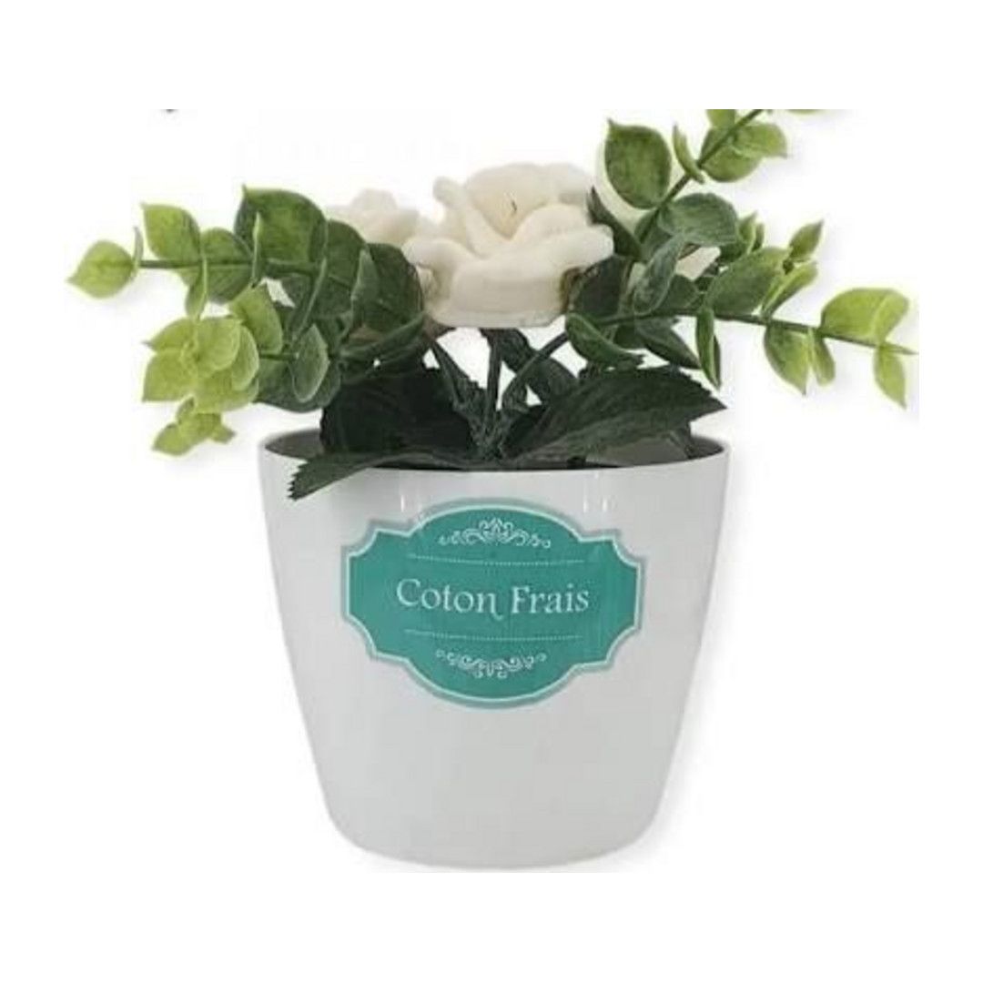 Fleurs de maison Coton Frais – Mosco Fleurs de maison Coton Frais – Mosco