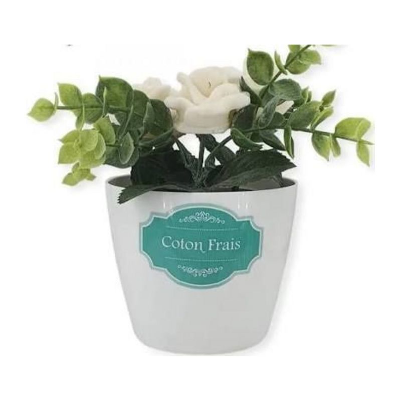Fleurs de maison Coton Frais – Mosco