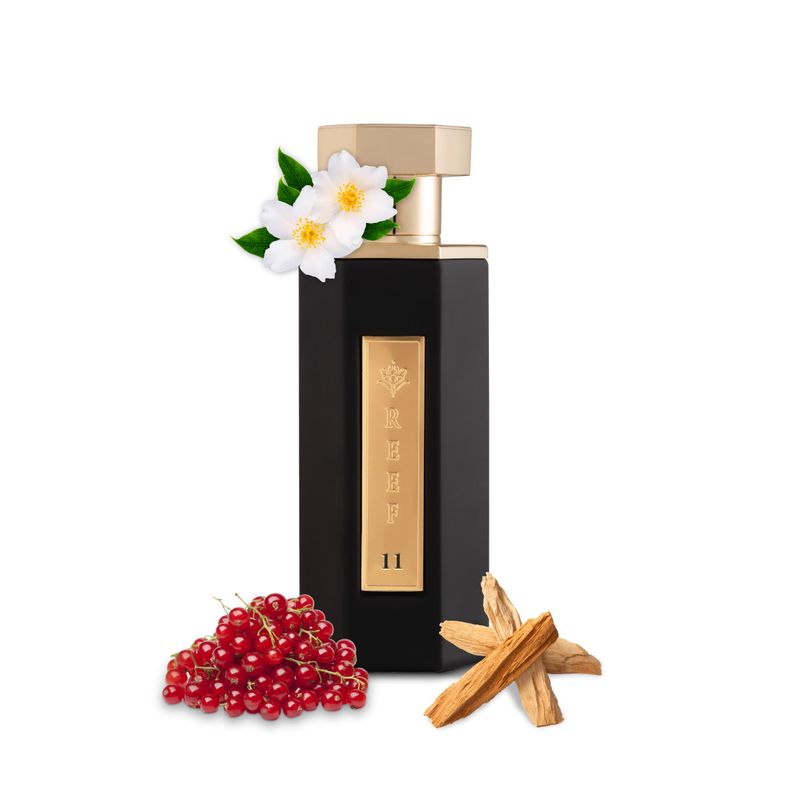 Reef 11 Reef Perfumes, flacon et ingrédients