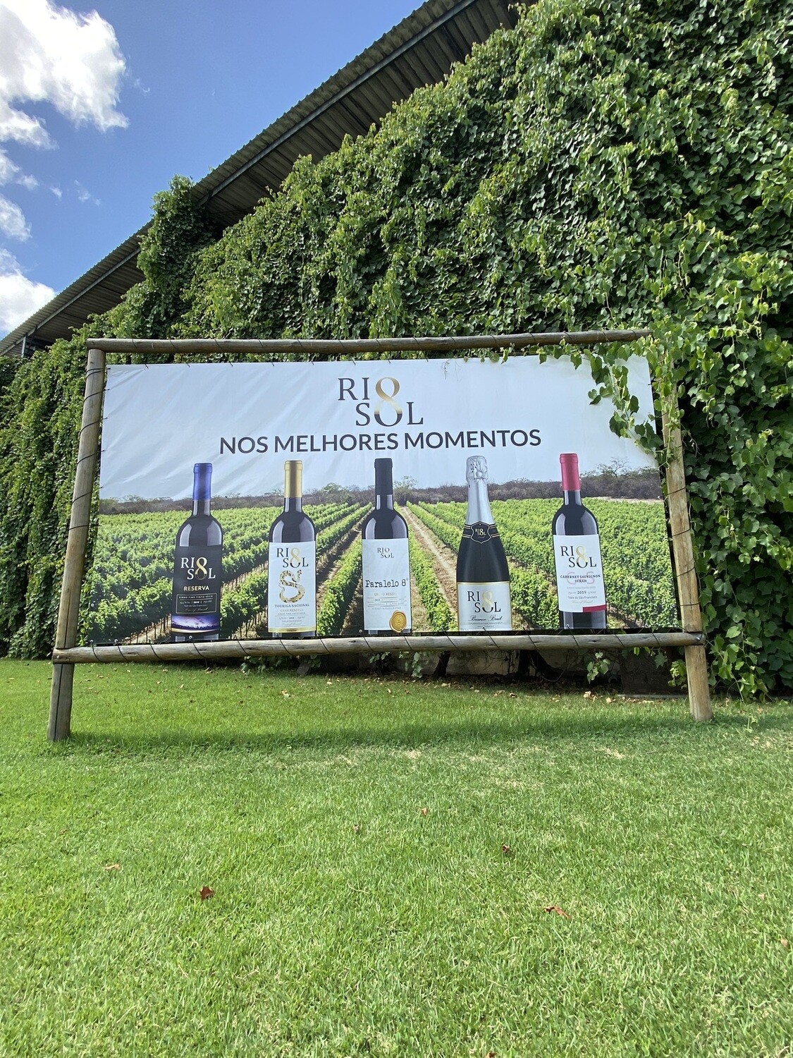 Rota dos Vinhos (Vinícola Rio Sol + Passeio de Catamarã)