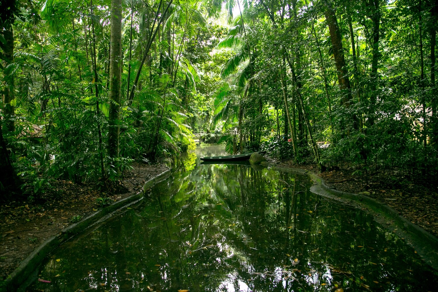 FEVEREIRO/2026 (13/02 a 18/02) Carnaval em Belém do Pará (PA)! Floresta Amazônica com a Viajantes do Valle!