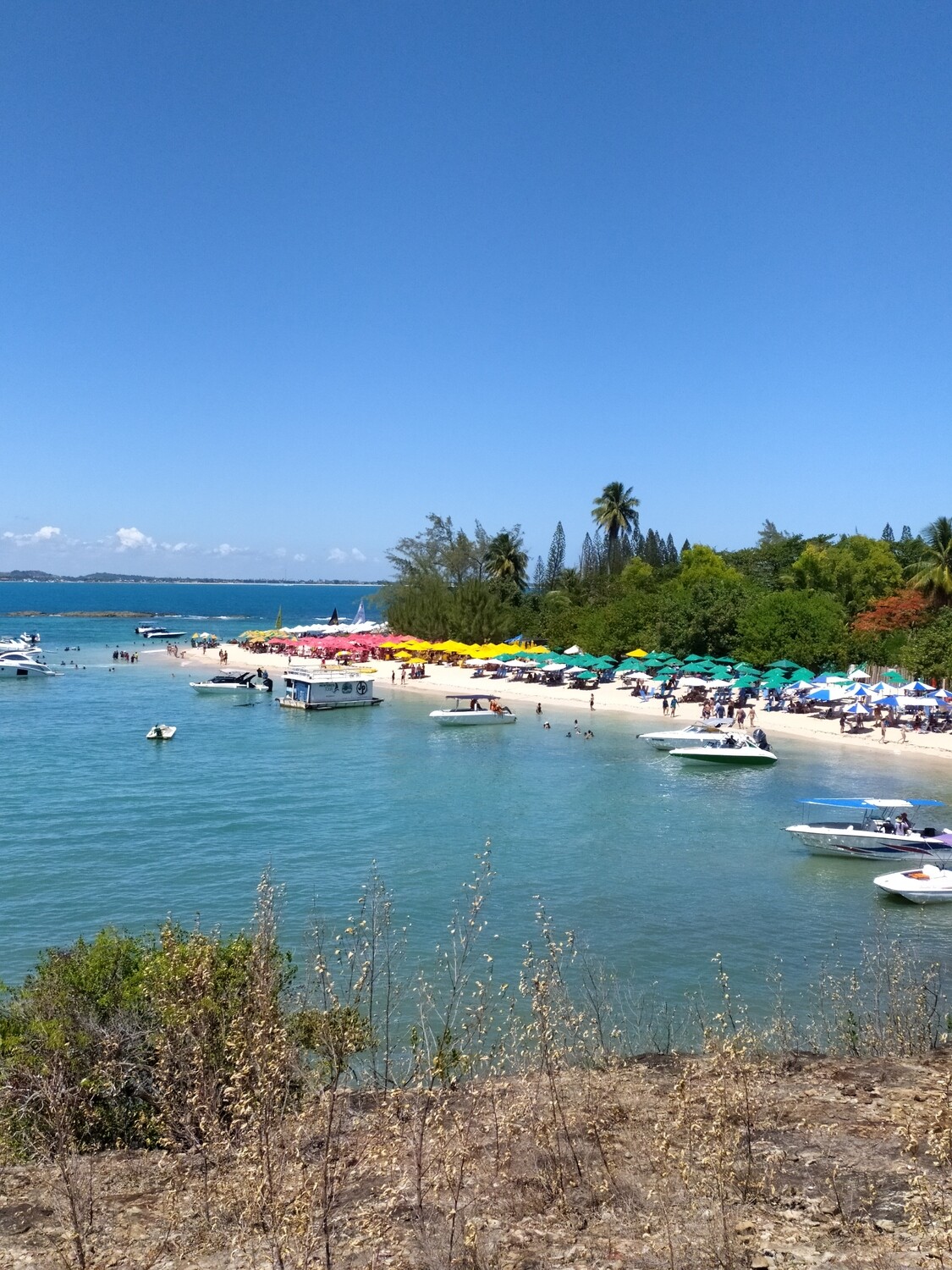 NOVEMBRO (14/11 a 16/11) Porto de Galinhas & Ilha de Santo Aleixo (PE)! Feriado Nacional de Proclamação da República!