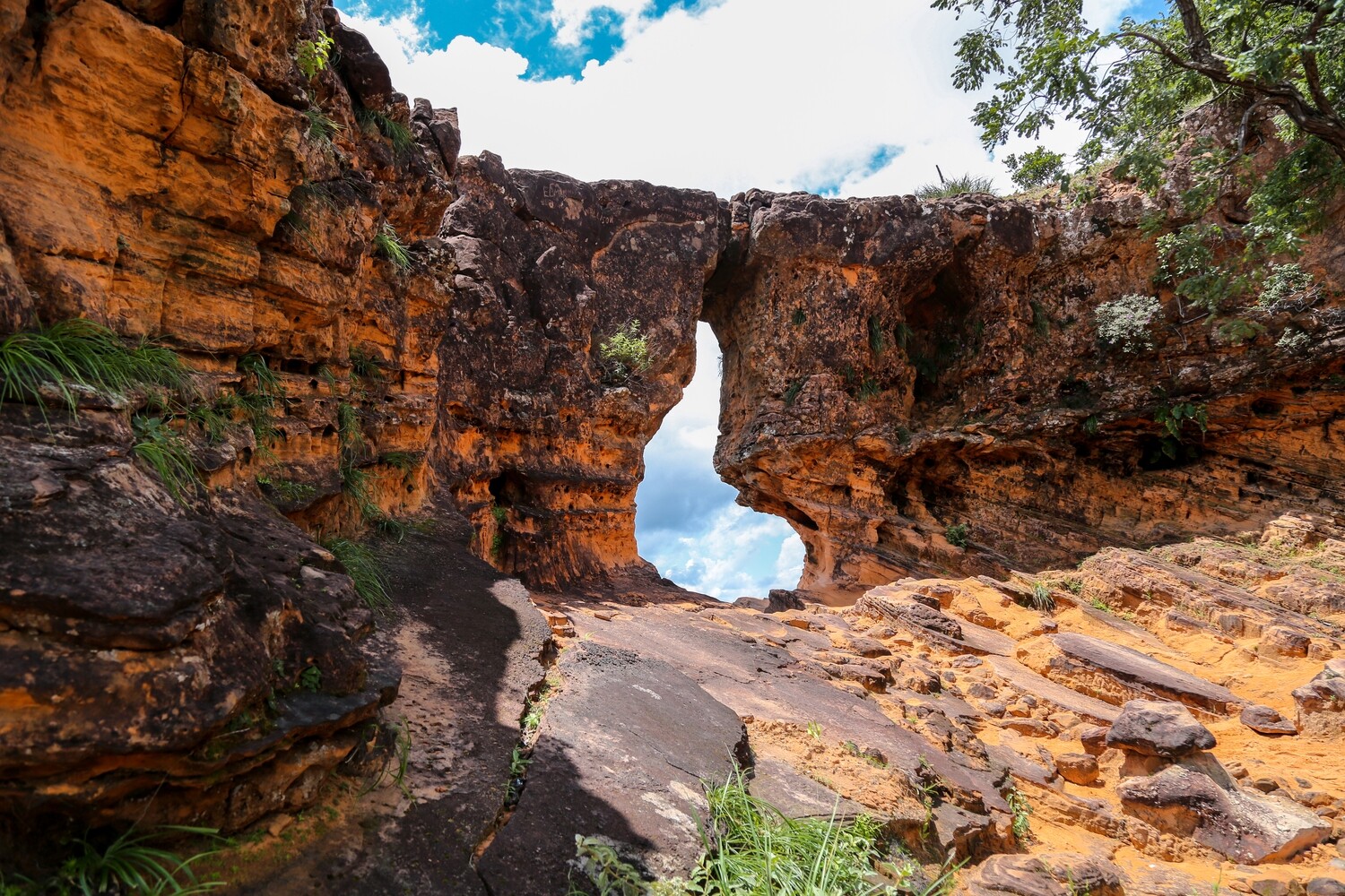 OUTUBRO (14/10 a 18/10) Chapada das Mesas (MA) Feriadão dos professores (04 dias/ 03 noites) OUTUBRO (14/10 a 18/10) Chapada das Mesas (MA) Feriadão dos professores (04 dias/ 03 noites)