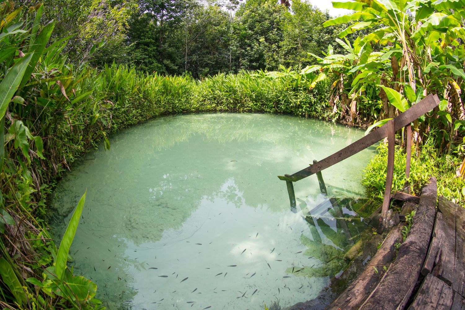 SETEMBRO (04/09 a 08/09) Jalapão (TO) SETEMBRO (04/09 a 08/09) Jalapão (TO) "O Deserto das Águas" (Feriadão da Independência + Nsª das Grotas) 04 dias e 03 noites