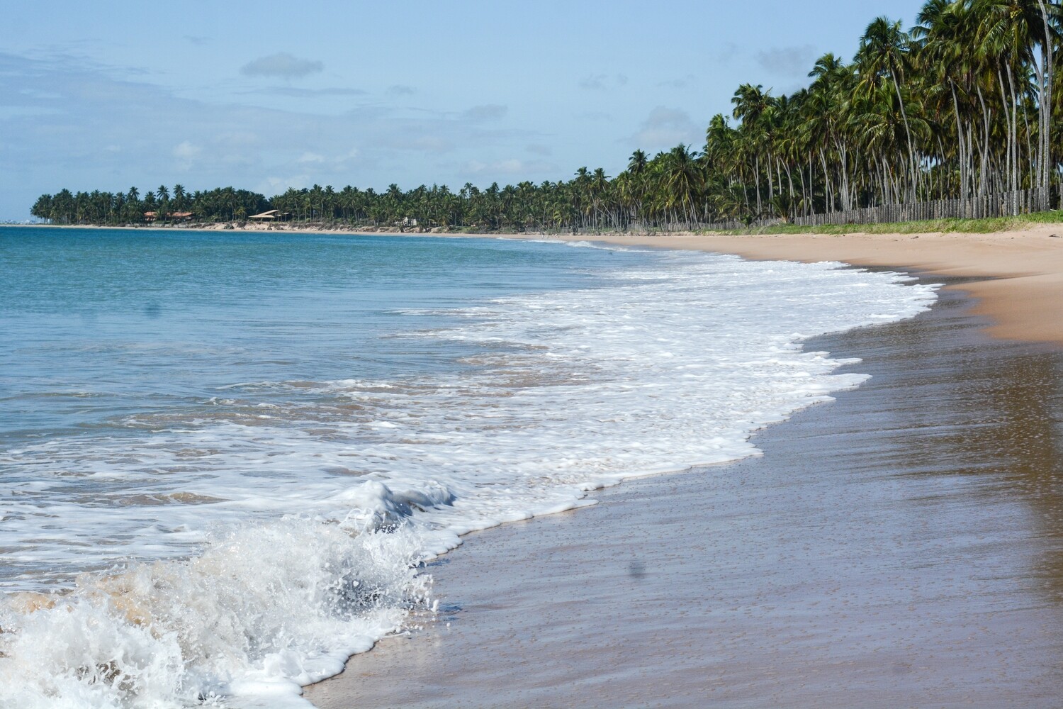 JULHO (10/07 a 12/07) Maceió & Praias Alagoanas