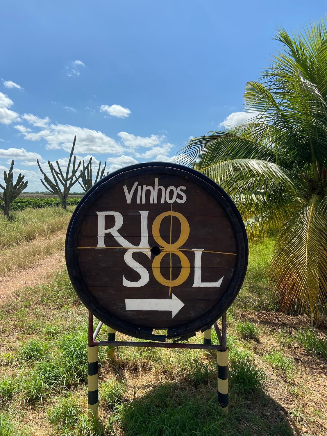 Vinícola Rio Sol