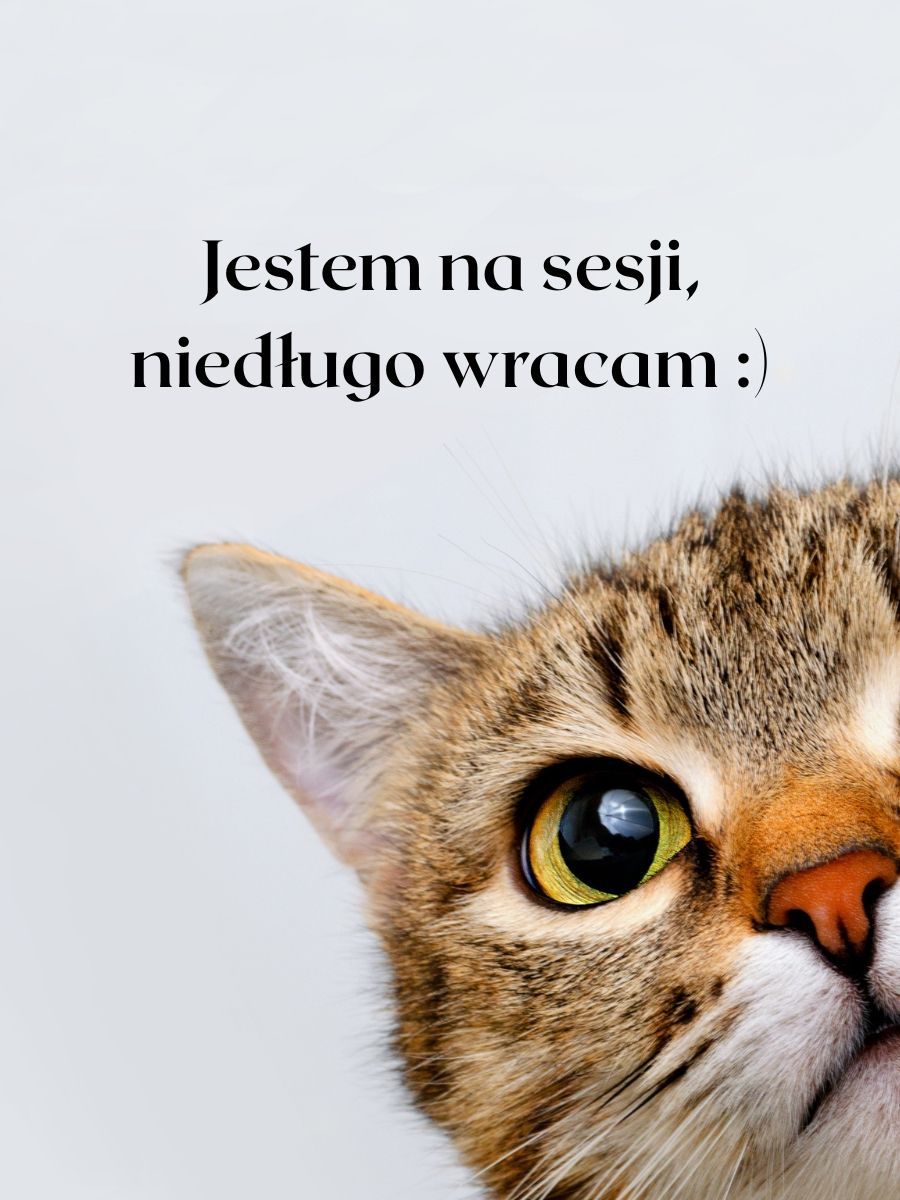 Bransoletka urodzinowa - Lipiec - TYGRYSIE OKO