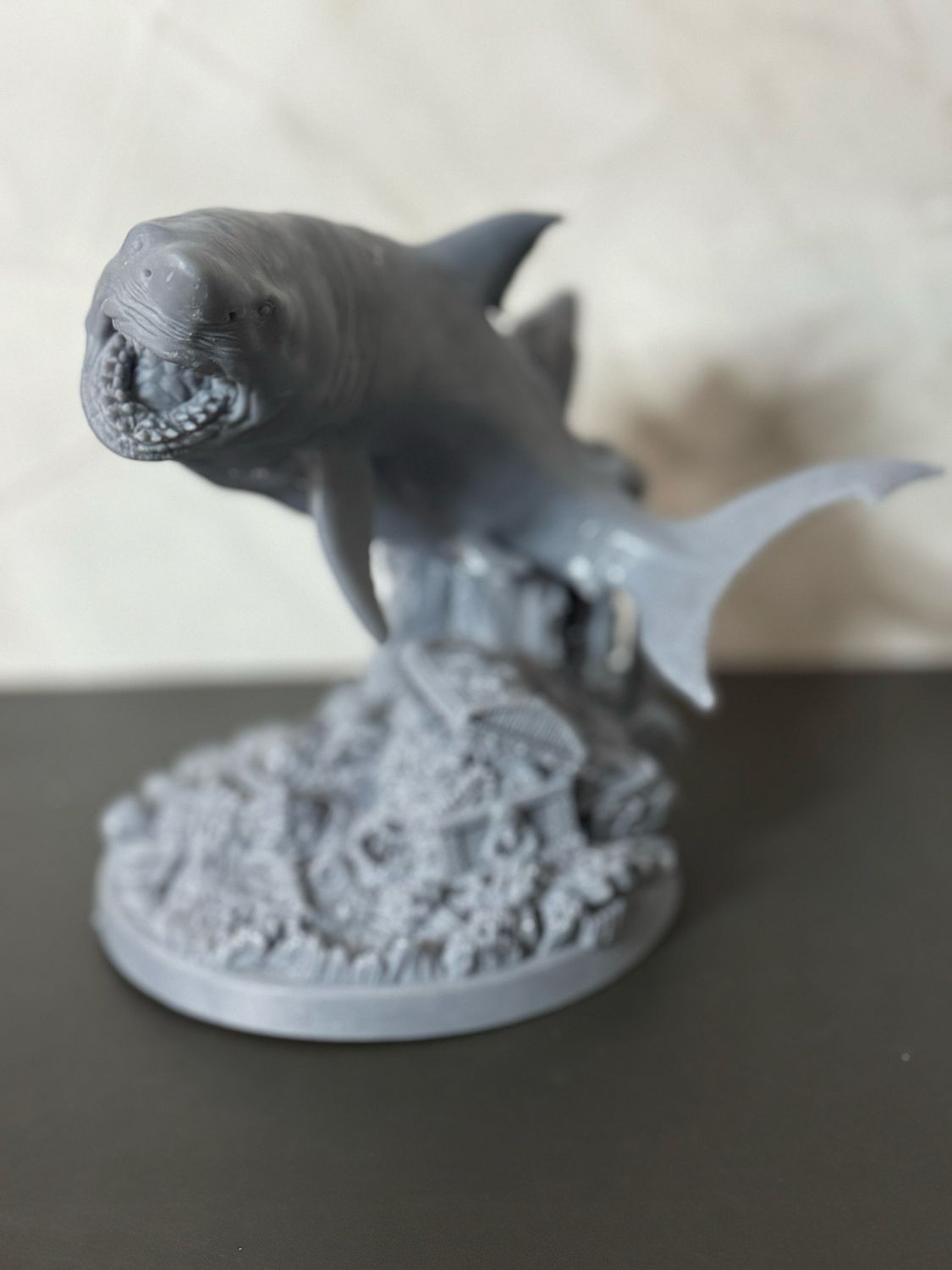 Shark &amp; Treasure