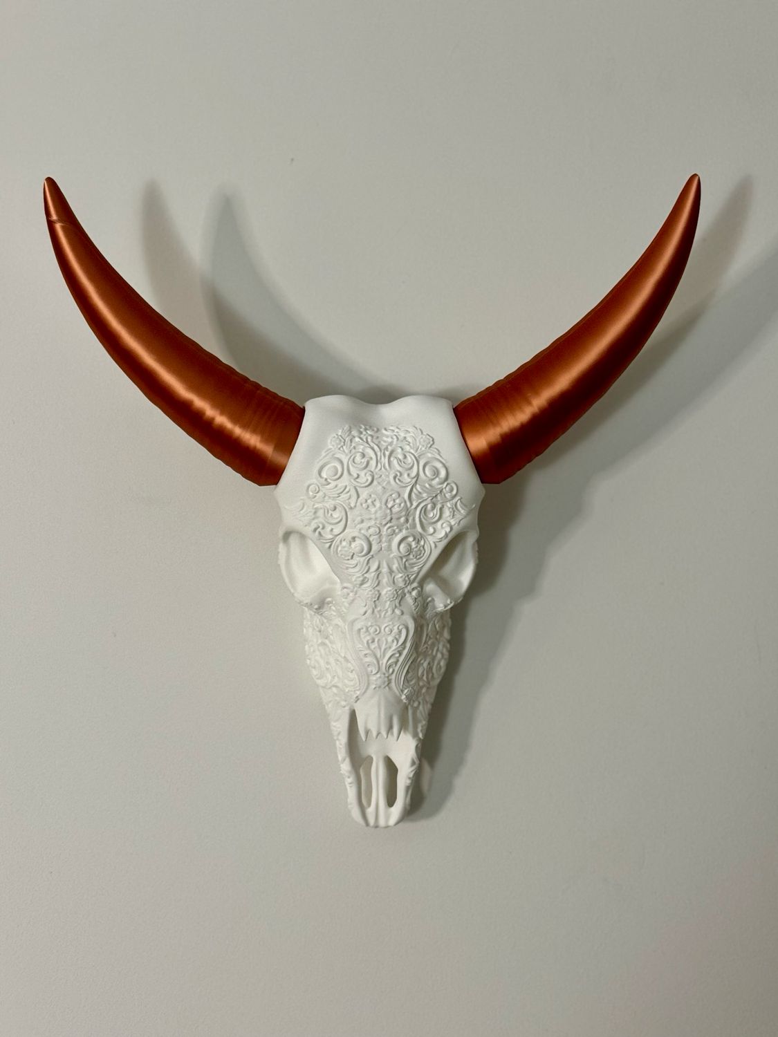 Buffalo Skull