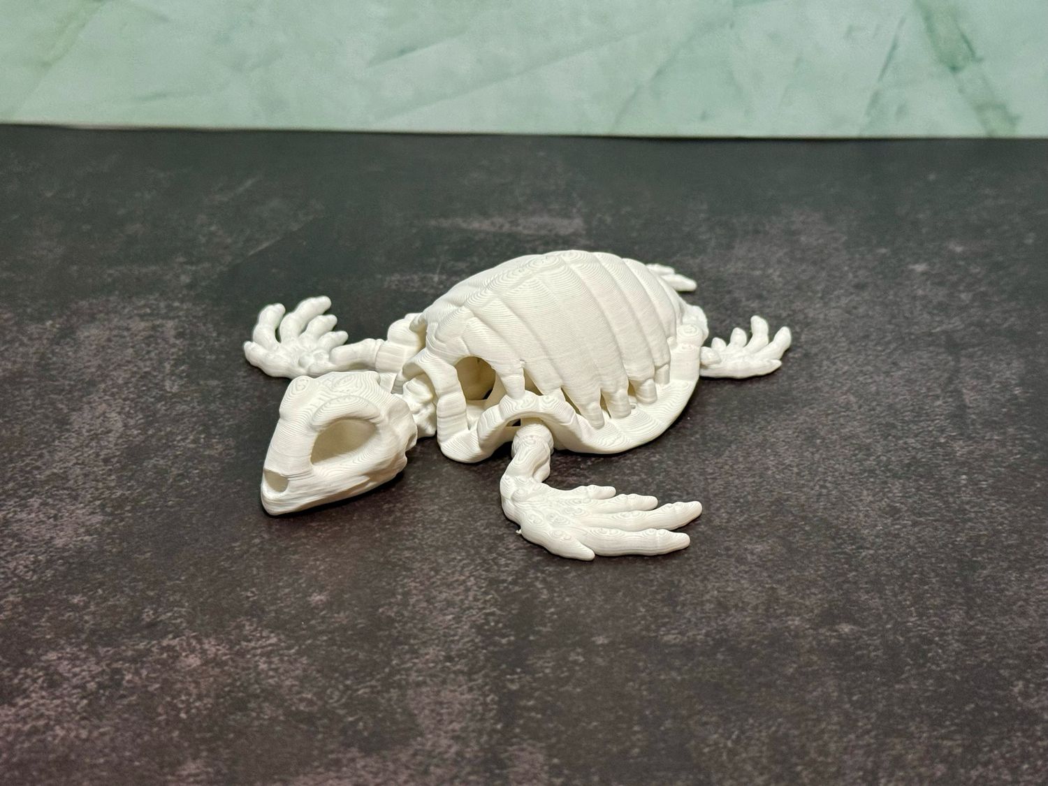 Skeleton Tortoise