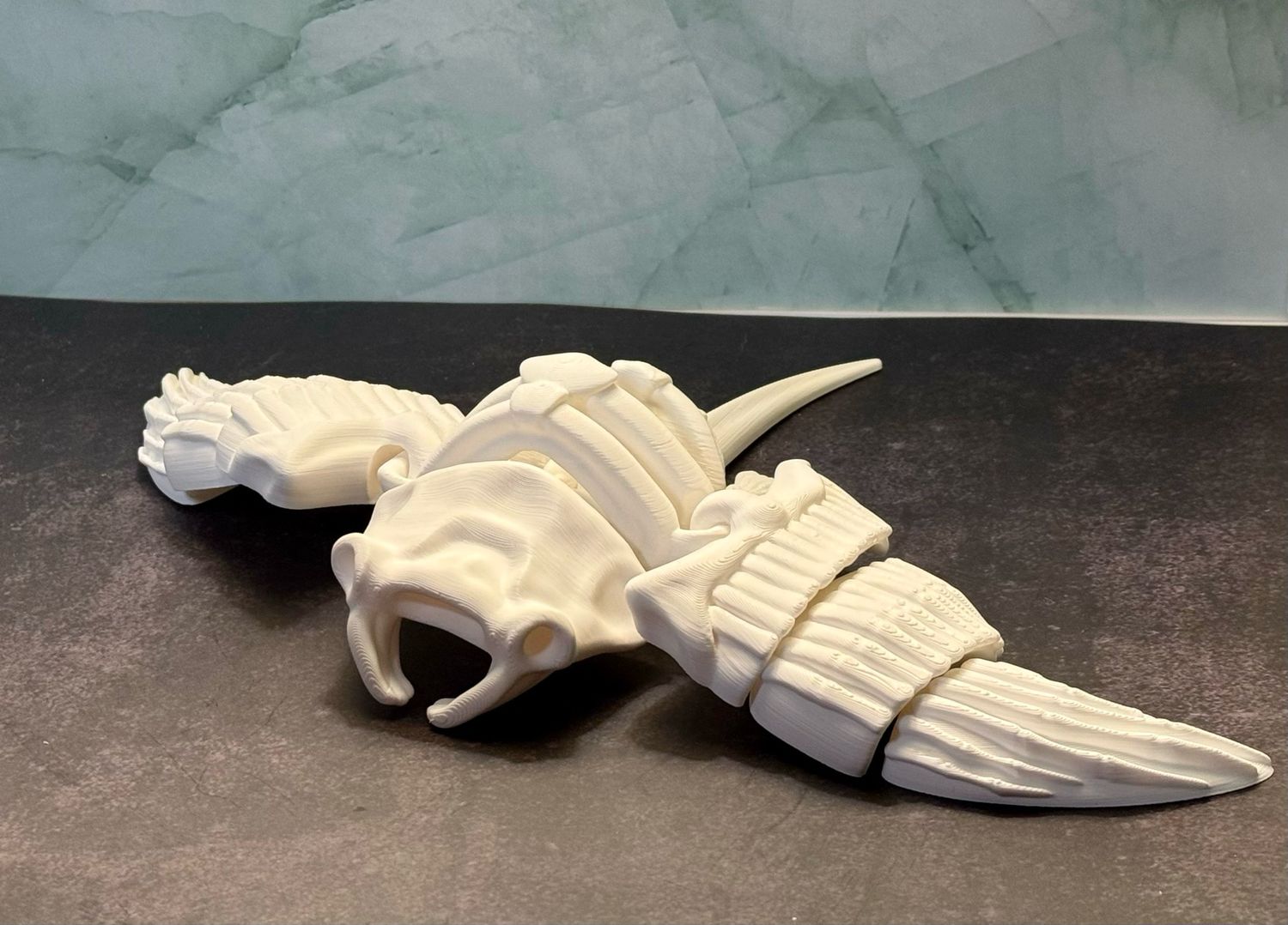 Articulating Manta Ray Skeleton