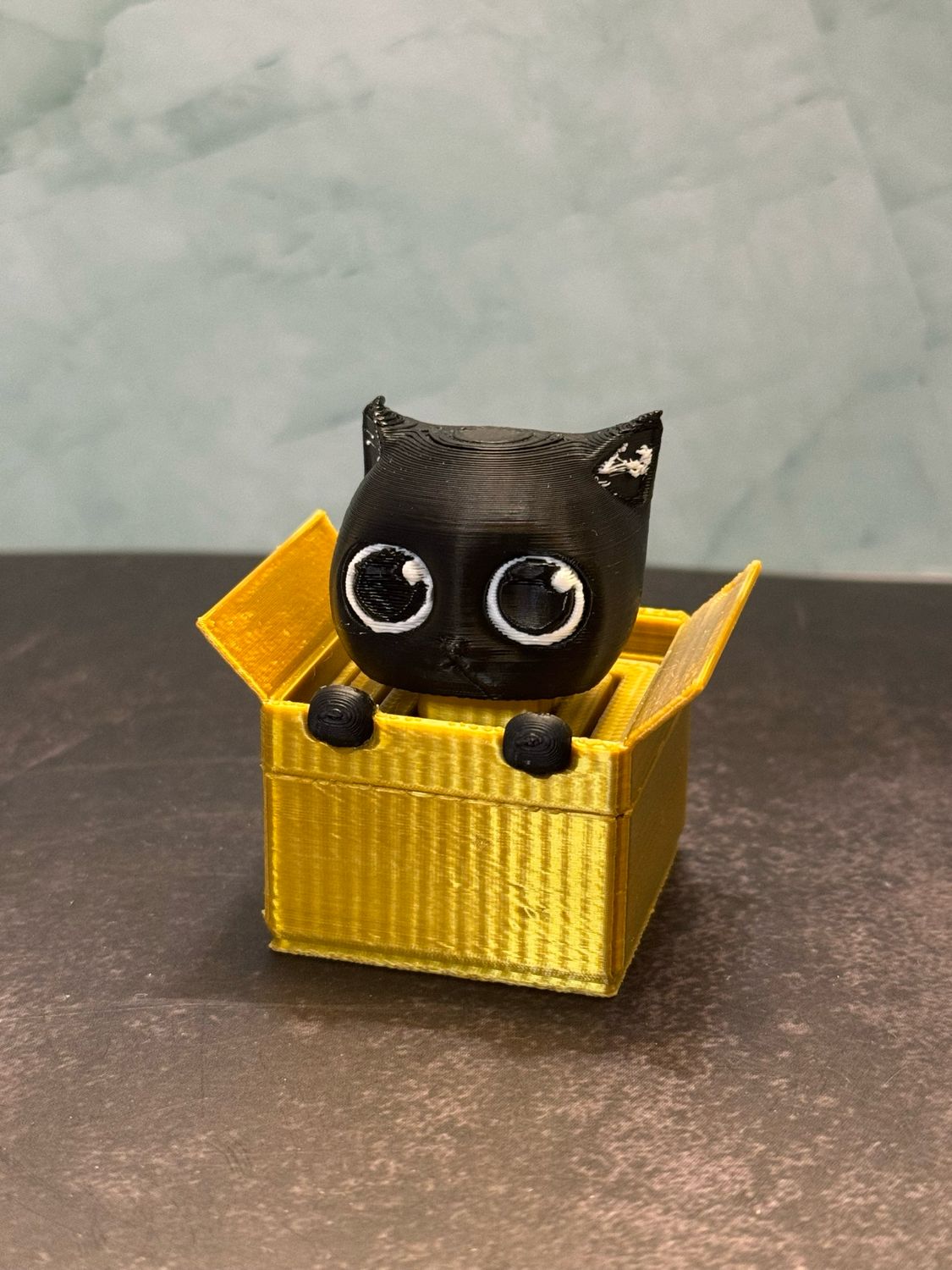 Boxed Kitty