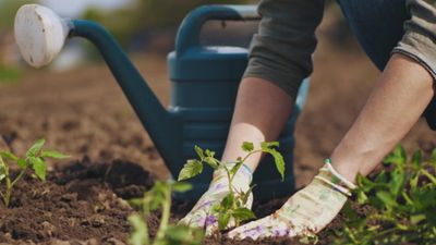 Gardening