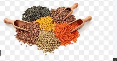 Pulses/Legumes