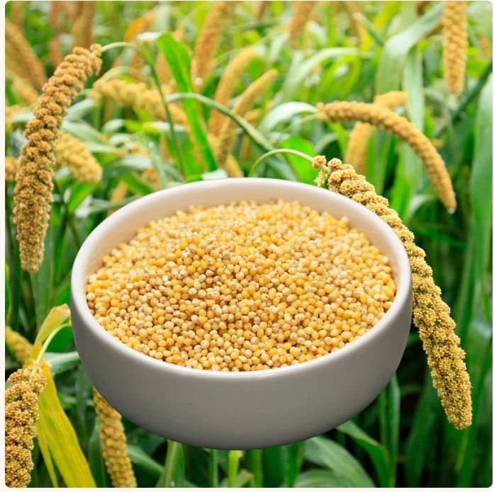 Foxtail Millet (Unpolished, 100% Natural) - Just $9.5 for 2.2 lb