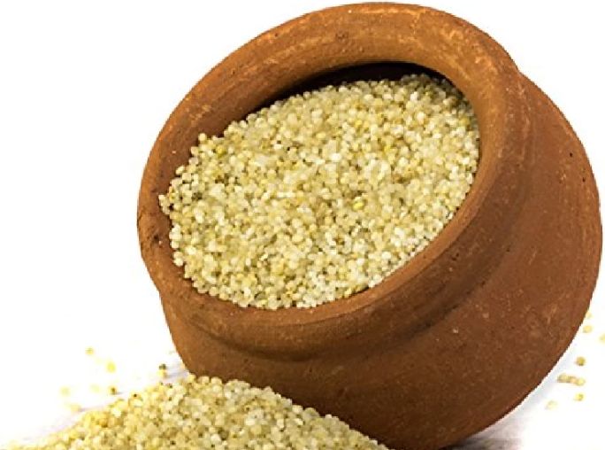 Little Millet ( Soaked,Dried,Unpolished, 100% Natural,Ready to Cook) - Just $11 for 2.2 lb
