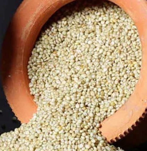 Browntop Millet ( Soaked,Dried,Unpolished, 100% Natural,Ready to Cook) - Just $13 for 2.2 lb