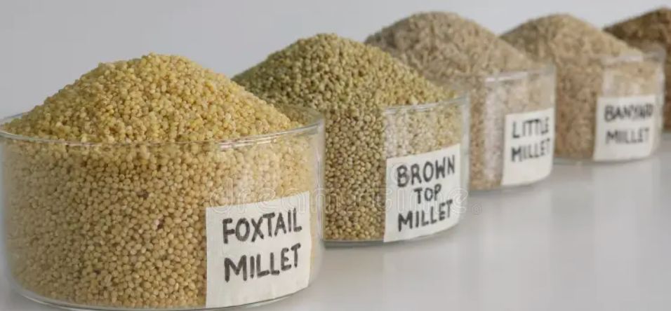 Ready to Cook - 5 Siri-Millets (2.2lb / 1kg each)  (Unpolished, 100% Natural,Soaked | Dried)