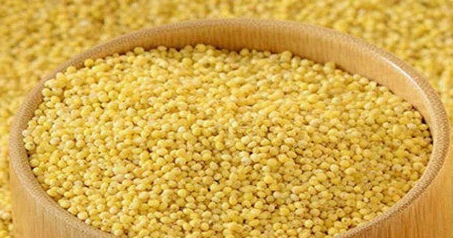 Foxtail Millet ( Soaked,Dried,Unpolished, 100% Natural,Ready to Cook) - Just $11 for 2.2 lb