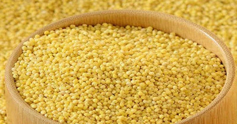 Foxtail Millet ( Soaked,Dried,Unpolished, 100% Natural,Ready to Cook) - Just $11 for 2.2 lb Foxtail Millet ( Soaked,Dried,Unpolished, 100% Natural,Ready to Cook) - Just $11 for 2.2 lb
