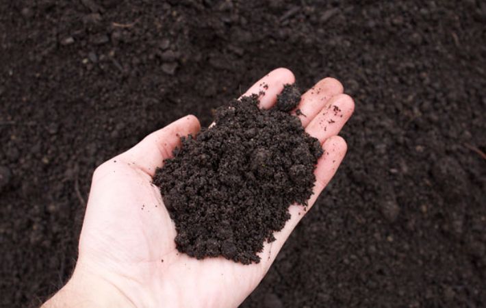 🌱 Premium Garden Soil Mix (🚚 Delivery Available in Tampa Only)